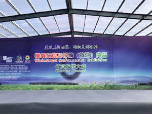 ���(d��ng)����