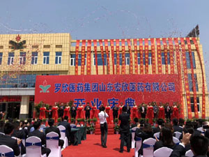 ���(d��ng)����