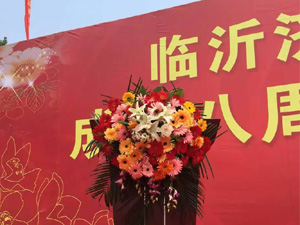 ���v�_(t��i)