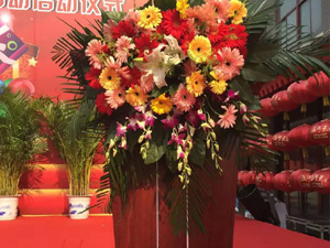 ���v�_(t��i)